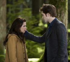 El furor por "Twilight" y sus secuelas se ha prolongado debido al esperado lanzamiento de la cinta "New Moon" basada en el segundo libro de Meyer